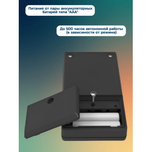 BugHunter Professional BH-03 (детектор жучков)